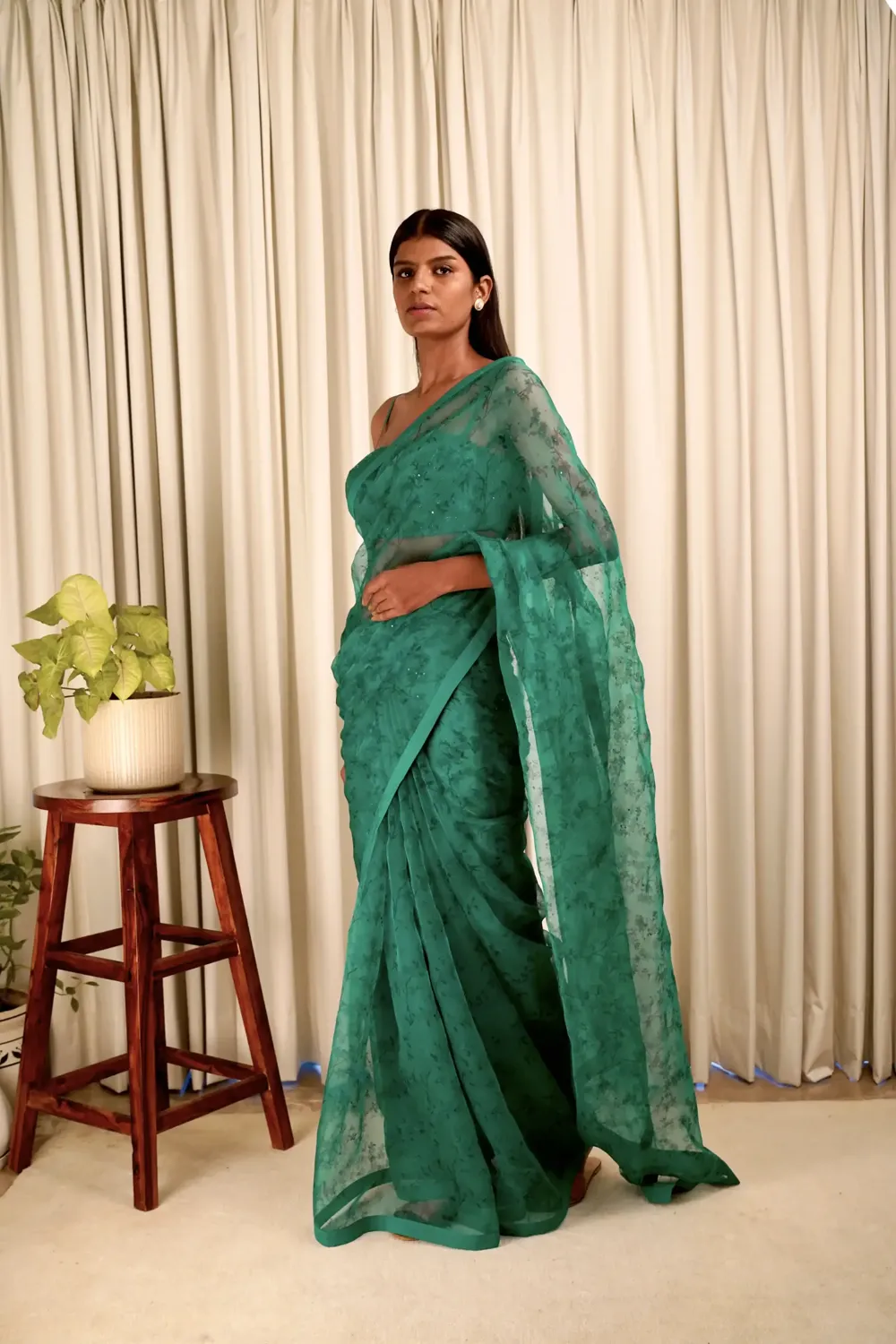Baag Emerald Saree