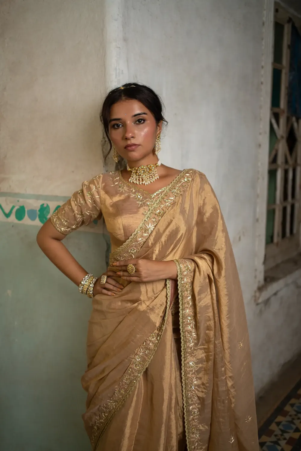 embroidered blouse and saree