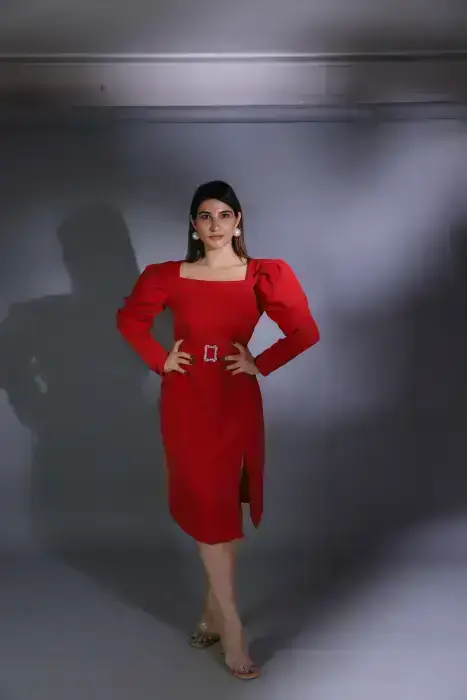 Rose Dress